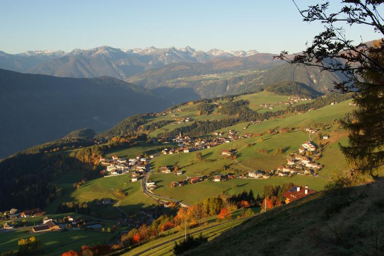 Herbstfärbung im Pustertal