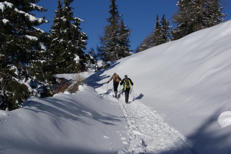 Schneeschuhwanderung im Pustertal