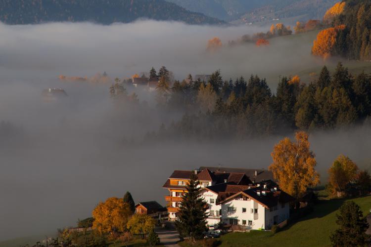 Herbstwochen Herbstwochen