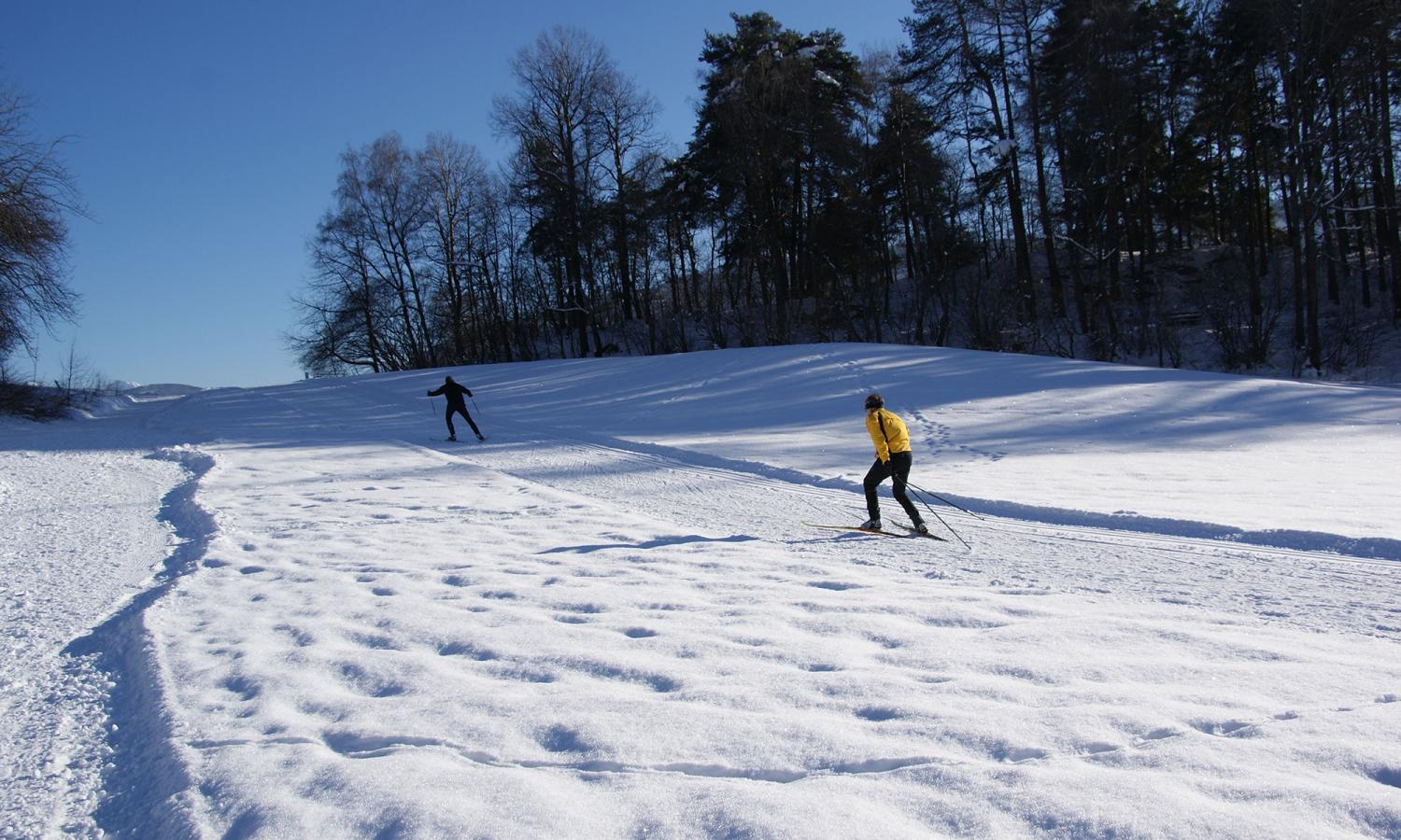 Langlaufen in Terenten