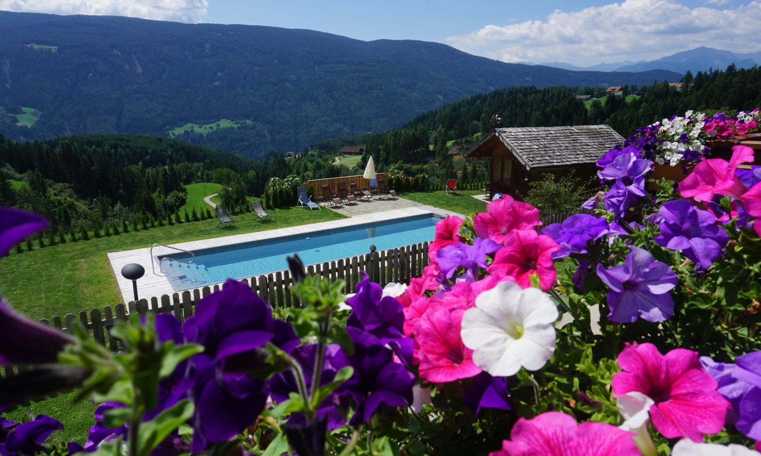 Unser großes Freischwimmbad mit Ausblick